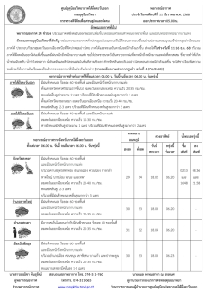 พยากรณ์อากาศ ประจำวัน 11 ธันวาคม 2568