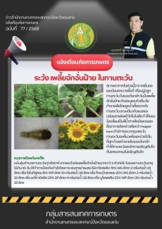 อากาศหนาวเย็นเกษตรกรโปรดระวัง