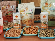 响当当的腰果村：程逸府塔普拉县哈凯多村