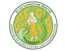 โครงการฝึกอบรมเชิงปฏิบัติการ