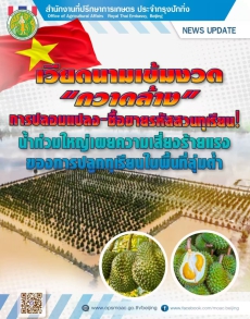 เวียดนามเข้มงวด“กวาดล้าง”การปลอมแปลง-ซื้อขายรหัสสวนทุเรียน!