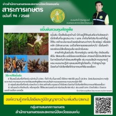 ขมิ้นชัน สมุนไพรในบ้านที่มากประโยชน์