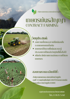เกษตรพันธสัญญา รายได้มั่นคง ไม่กลัวราคาตก