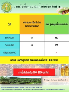 ราคารับซื้อผลปาล์มน้ำมันจังหวัดพังงา