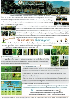 ข่าวสารเมล็ดพันธุ์ข้าว
