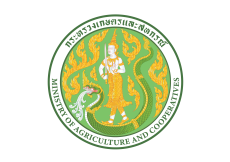 งบทดลองประจำเดือนพฤศจิกายน 2568