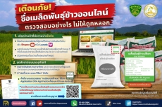 เตือนภัย...ซื้อเมล็ดพันธุ์ข้าวออนไลน์