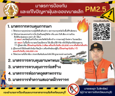 มาตรการป้องกันและแก้ไขปัญหาฝุ่นละอองขนาดเล็ก