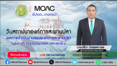 “วันสถาปนาองค์การสะพานปลา