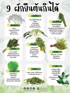9 ผักยืนต้นกินได้