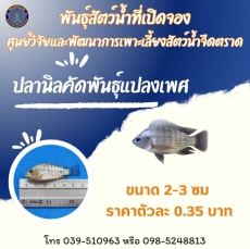 พันธุ์สัตว์น้ำที่เปิดจอง ประจำเดือน มกราคม 2569