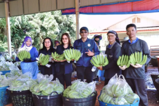 สศก.วิเคราะห์โอกาสกล้วยหอมทองโคราชสินค้าเกษตรมูลค่าสูงสู่ตลาดส่งออก