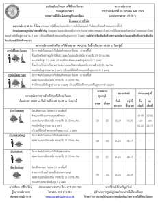 พยากรณ์อากาศ ประจำวัน 26 มกราคม 2569