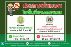 ประกาศห้ามเผา