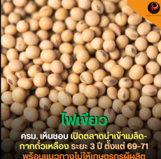 ครม.ไฟเขียวเปิดตลาดนำเข้าสินค้าเมล็ด/กากถั่วเหลือง