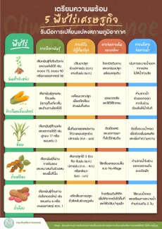 ความแปรปรวนของสภาพอากาศส่งผลกระทบโดยตรงต่อพืชไร่เตรียมความพร้อม