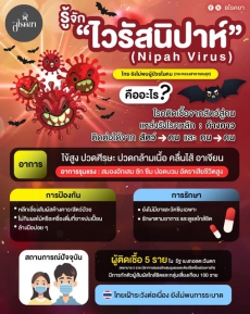 ไวรัสนิปาห์ (Nipah Virus)