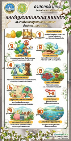 จังหวัดเลยขอเชิญชวนเที่ยวงานดอกฝ้ายบาน