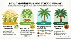 สถานการณ์ศัตรูพืชระบาด