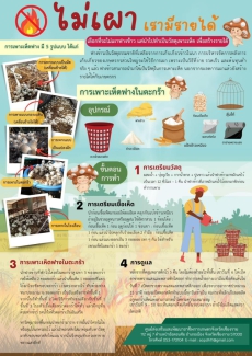 ไม่เผาเรามีรายได้