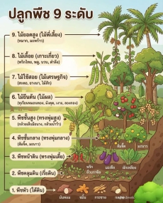 ปลูกพืช 9 ระดับ