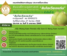 “ส้มโอเวียงแก่น”ขึ้นทะเบียนGIจังหวัดเชียงราย