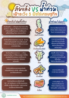 ภัยแล้งVS น้ำท่วม เฝ้าระวัง 5 พืชไร่เศรษฐกิจ