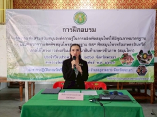 การอบรมกิจกรรมการส่งเสริมสนับสนุนองค์ความรู้ในการผลิตพืชสมุนไพรให้มีคุณภาพมาตรฐาน