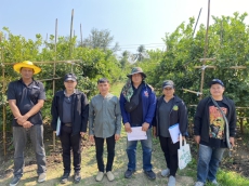 ร่วมลงพื้นที่คัดเลือกสวนไม้ผล