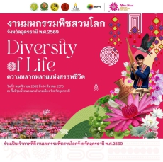 ความคืบหน้างานจัดสวน