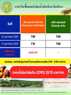 ราคารับซื้อผลปาล์มน้ำมันจังหวัดพังงา