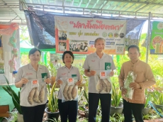 กษ.อำนาจเจริญร่วมเป็นเกียรติในพิธีเปิดโครงการเพิ่มประสิทธิภาพการผลิตสินค้าเกษตรมูลค่าสูง