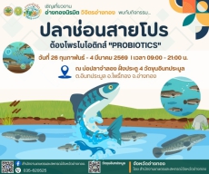 ปลาช่อนสายโปรด้วยโพรไบโอติกส์“PROBIOTICS”