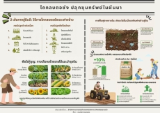 ไถกลบตอซัง ปลุกขุมทรัพย์ในผืนนา