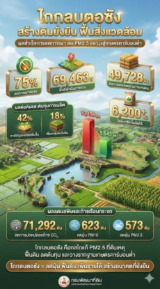 ลดการเผาได้กว่าร้อยละ