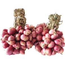 ขอความร่วมมือประชาสัมพันธ์และสั่งซื้อผลผลิตหอมแดงของสมาชิกสหกรณ์/เกษตรกรในจังหวัดศรีสะเกษ