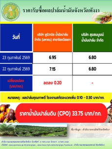 ราคารับซื้อผลปาล์มน้ำมันจังหวัดพังงา