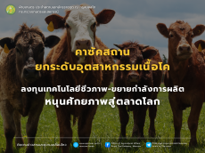 คาซัคสถานเร่งยกระดับอุตสาหกรรมเนื้อโค