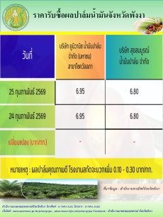 ราคารับซื้อผลปาล์มน้ำมันจังหวัดพังงา