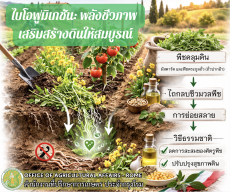พลังชีวภาพ เสริมสร้างดินให้สมบูรณ์