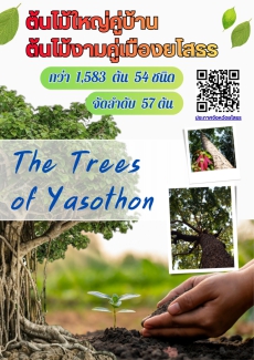 ประชาสัมพันธ์ต้นไม้ใหญ่คู่บ้าน