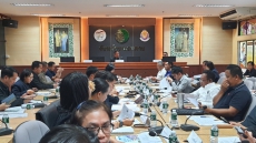 การจัดงานฉลองอนุสาวรีย์ปราบฮ่อ