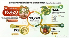 สถานการณ์ศัตรูพืชระบาด