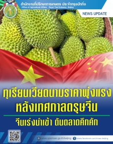 ทุเรียนเวียดนามราคาพุ่งแรงหลังเทศกาลตรุษจีน