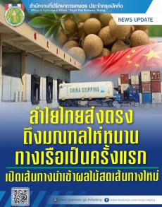 ลำไยไทยส่งตรงถึงมณฑลไห่หนานทางเรือเป็นครั้งแรก