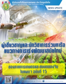 ผู้เชี่ยวชาญและนักวิชาการร่วมหารือแนวทางการเร่งพัฒนาสมัยใหม่