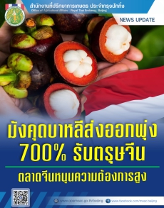 มังคุดบาหลีส่งออกพุ่ง