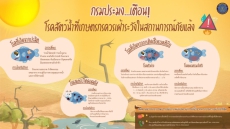 กรมประมงเตือนโรคสัตว์น้ำที่เกษตรกรควรเฝ้าระวังในสถานการณ์ภัยแล้ง