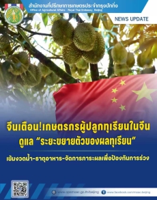 จีนเตือนเกษตรกรผู้ปลูกทุเรียนในจีน