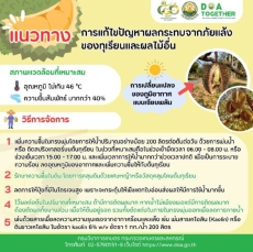 แนวทางการแก้ไขปัญหาผลกระทบจากภัยแล้งของทุเรียนและผลไม้อื่น